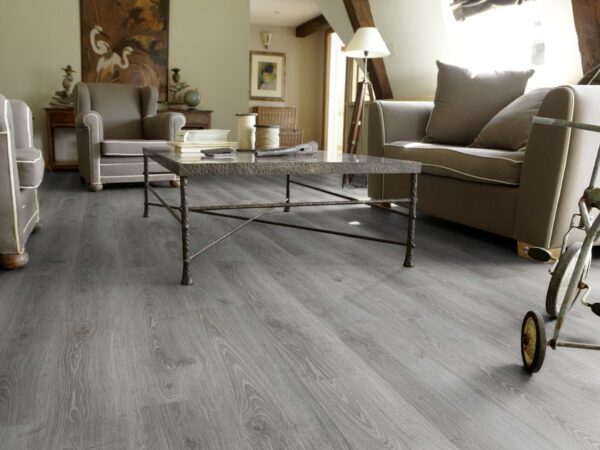 Silver - Imagen 2